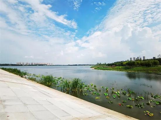 民生福祉幸福底色|长春汽开区：打造“城市绿肺”刷新西湖公园“颜值”