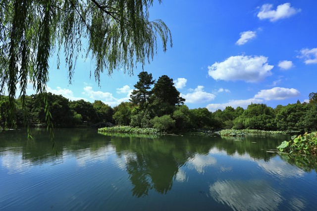 鎯呮劅鏁呬簨濂冲鎮ｇ梾,47宀佸コ浜虹殑鎯呮劅鏁呬簨