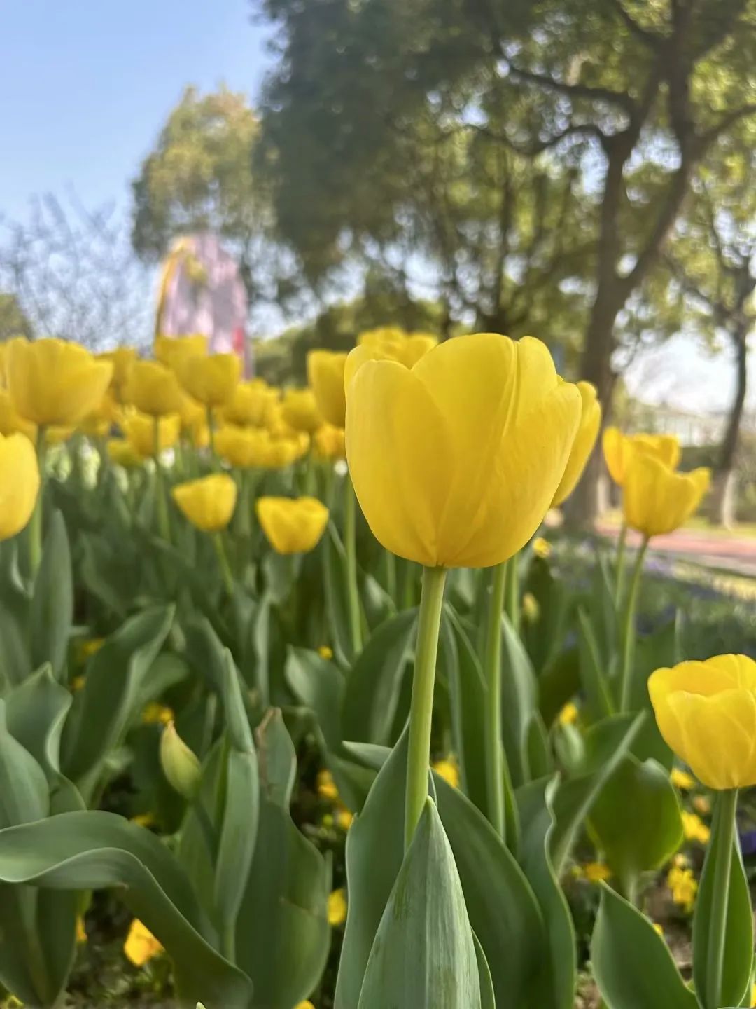 情商高和智商高的人有什么表现,情商高就意味着智商高