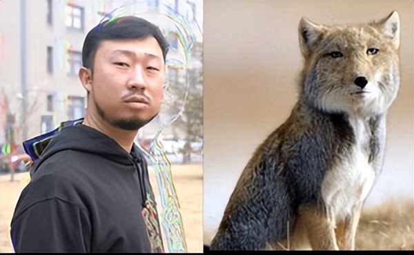 水果萝卜零食测评,水果萝卜零食测评推荐