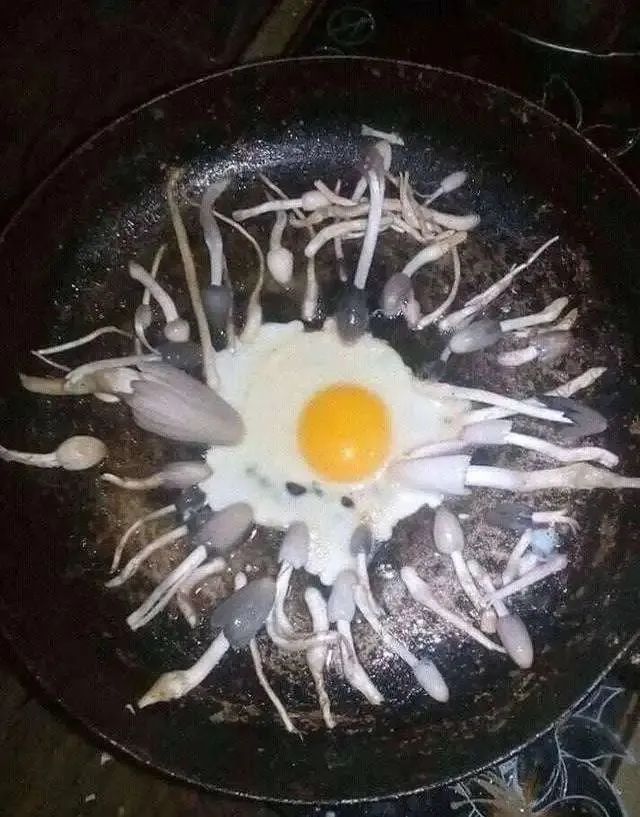 “已转发到公司群，希望领导能懂”