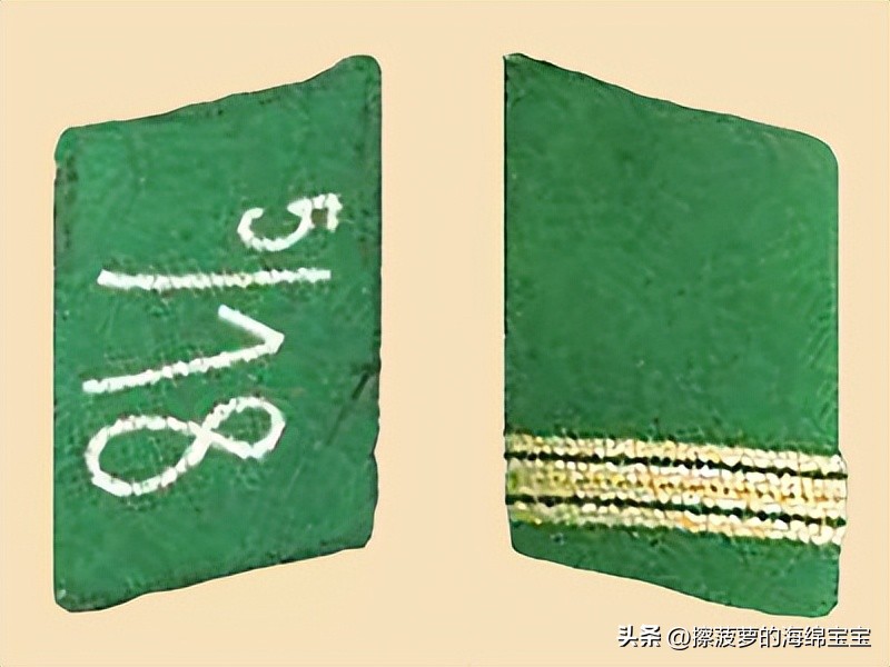 纳粹冲锋队用的什么枪,纳粹德军军衔图解