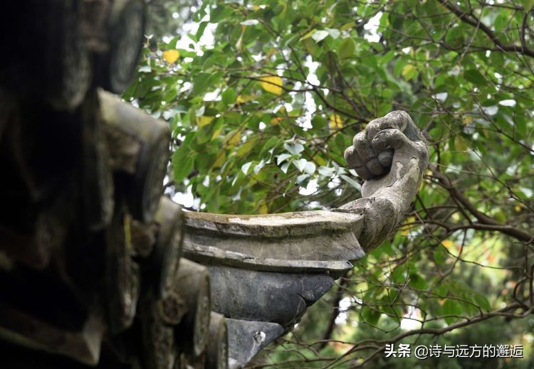 走走看看：接天莲叶无穷碧，映日荷花别样红——古漪园赏荷