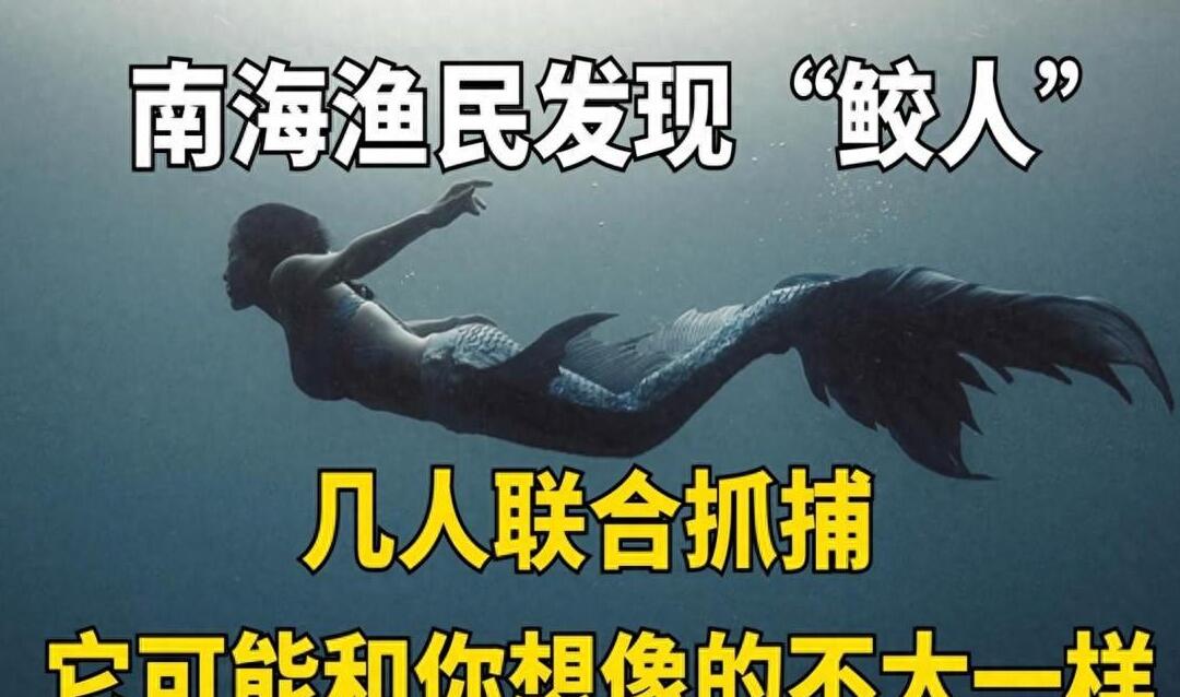 渔民一网捞1500多斤大黄鱼,渔民捞满一网鱼视频