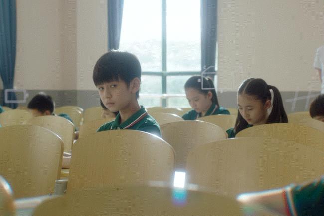 张子枫雷佳音面试,雷佳音张子枫天才基本法男明星