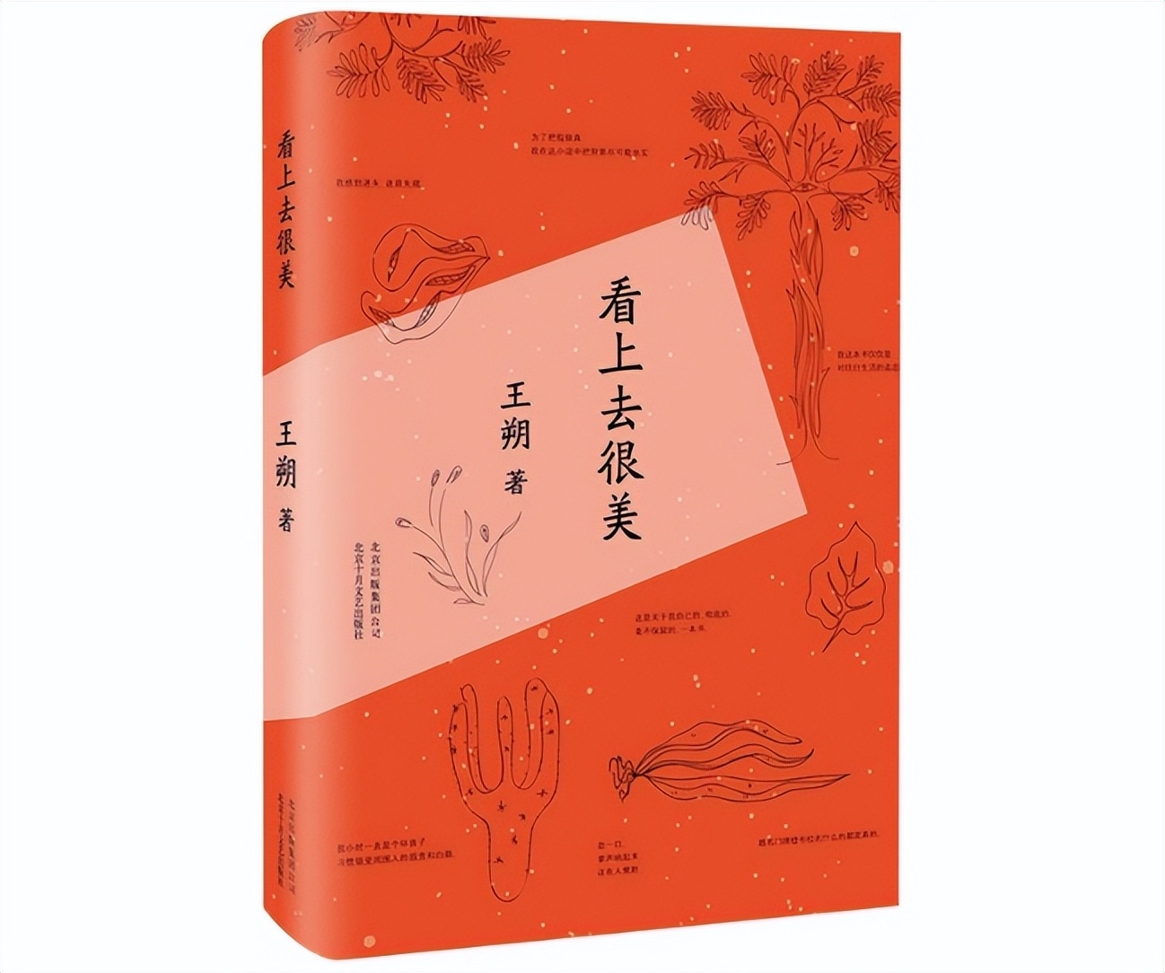 第二届青春好书排行榜,十月好书推荐书单