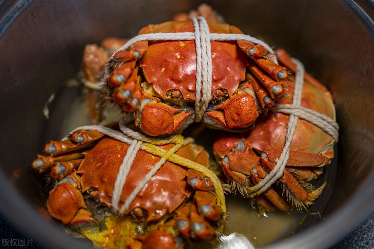 知名品牌大闸蟹加盟,浙江大闸蟹加盟哪家好一点