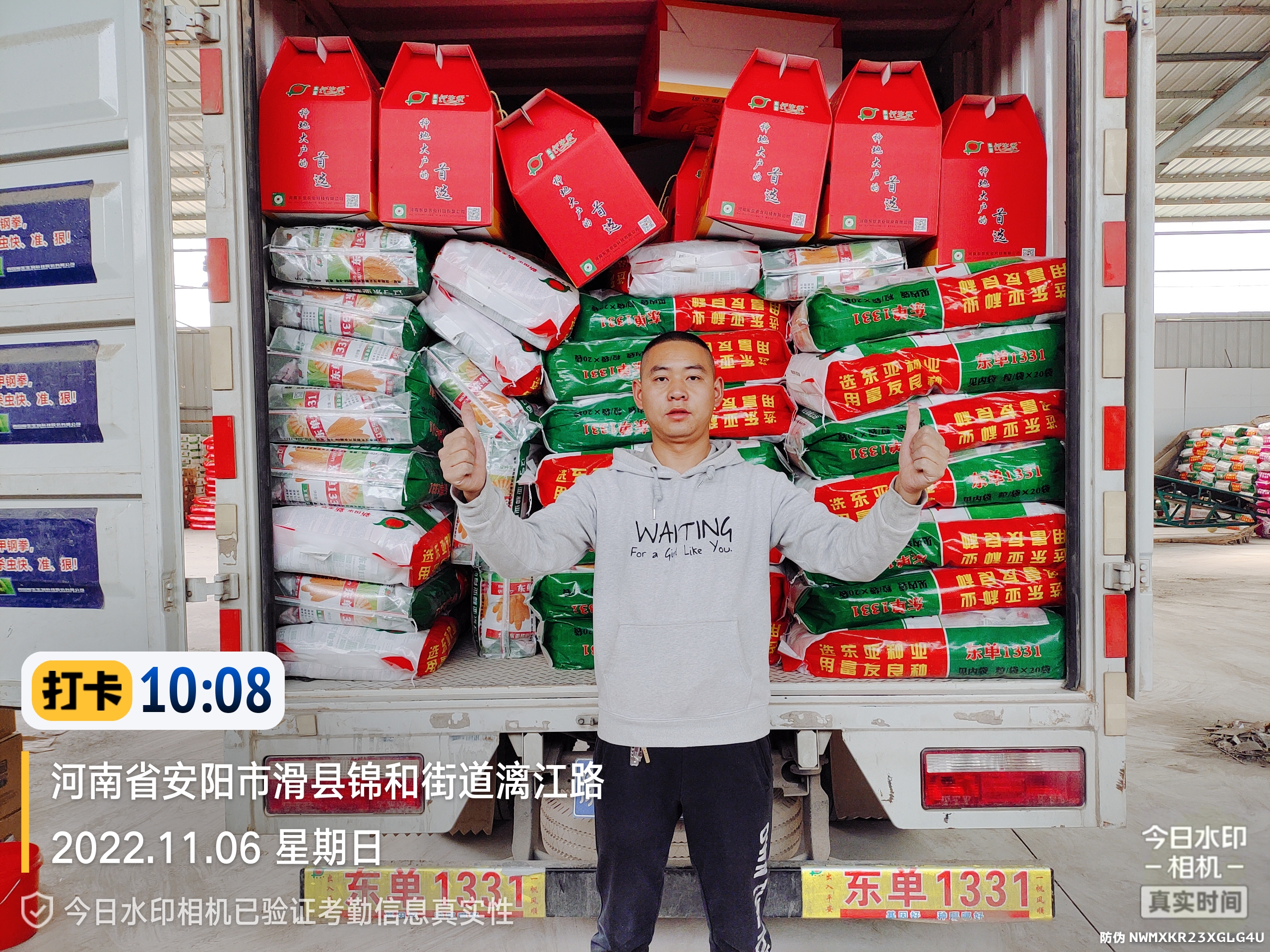 下屯卖玉米种子的怎么分出真假,玉米种子东单1331怎么样辨真假