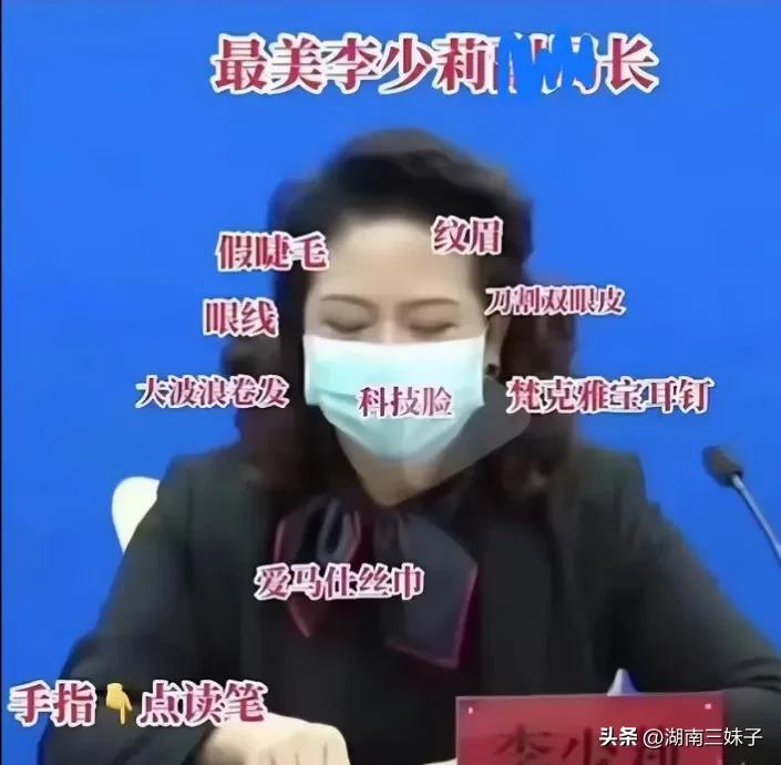 李少莉戴胸针照片,李少莉的胸针什么牌子