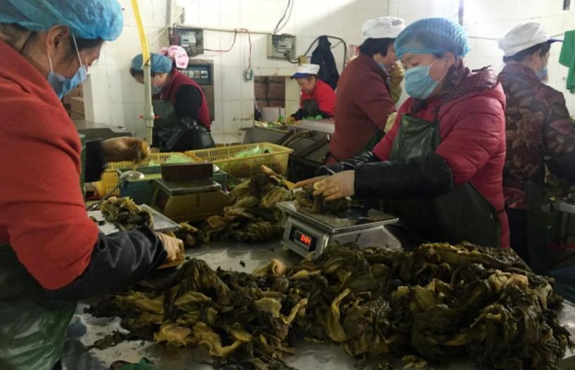 一夜蒸发数亿人民币,康师傅变成“糠师傅”,严钦武后悔已晚