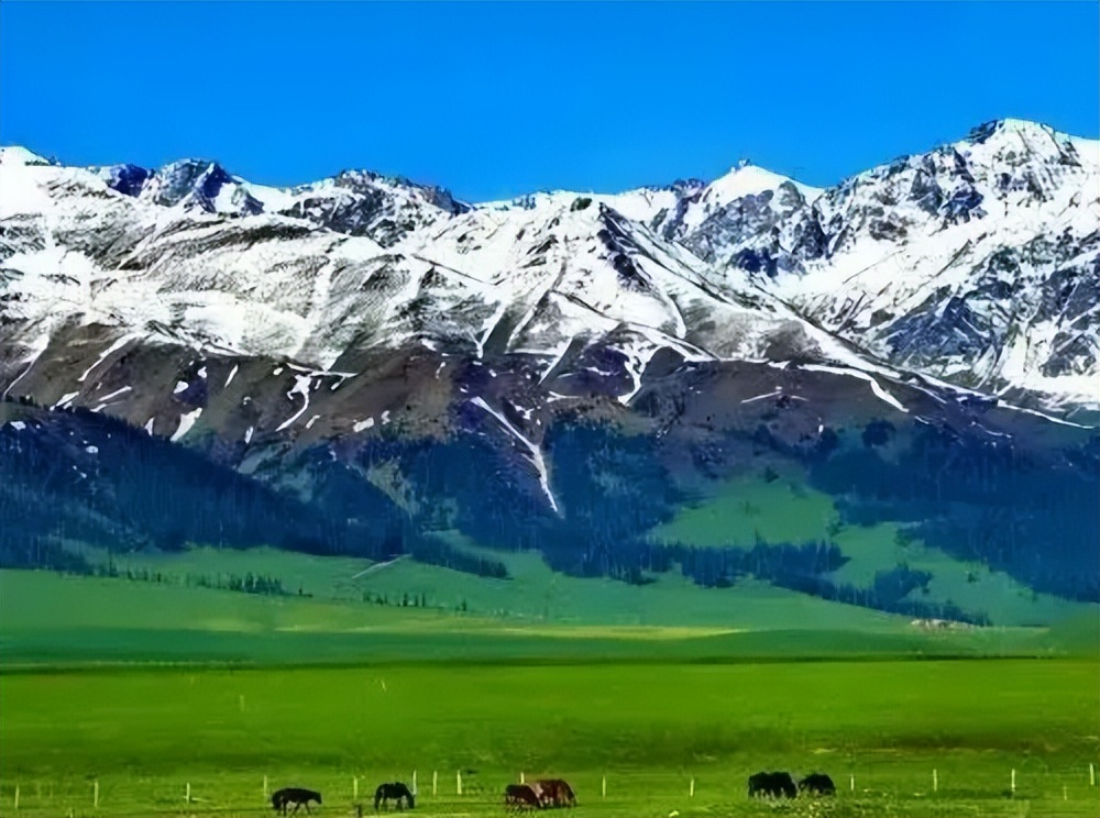 阎厹|有情堪向诗中老，无帽何妨醉横斜（原创诗词二十首）