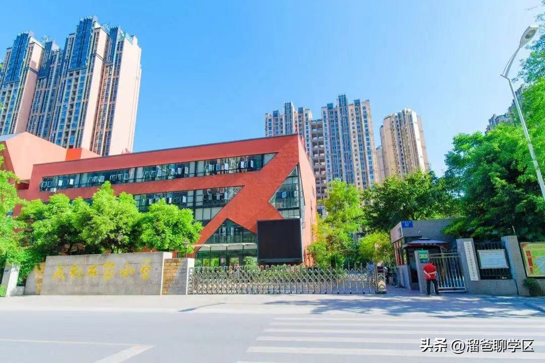 石室教育集团,成都石室中学教育集团学校