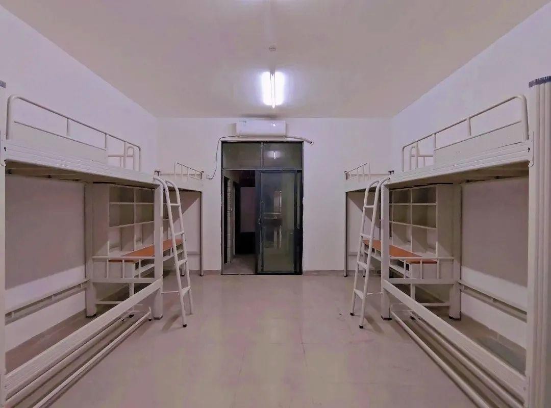 高级技工证高职高考,高职高考广东机电职业技术学院