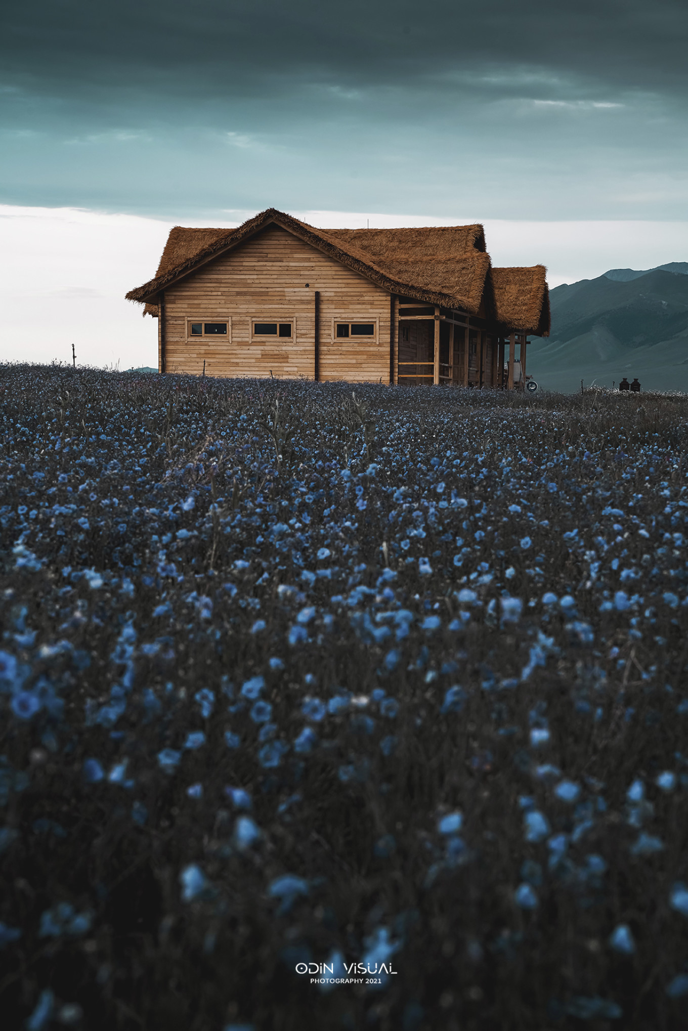 去新疆发现伊犁的美,世界之美尽在伊犁