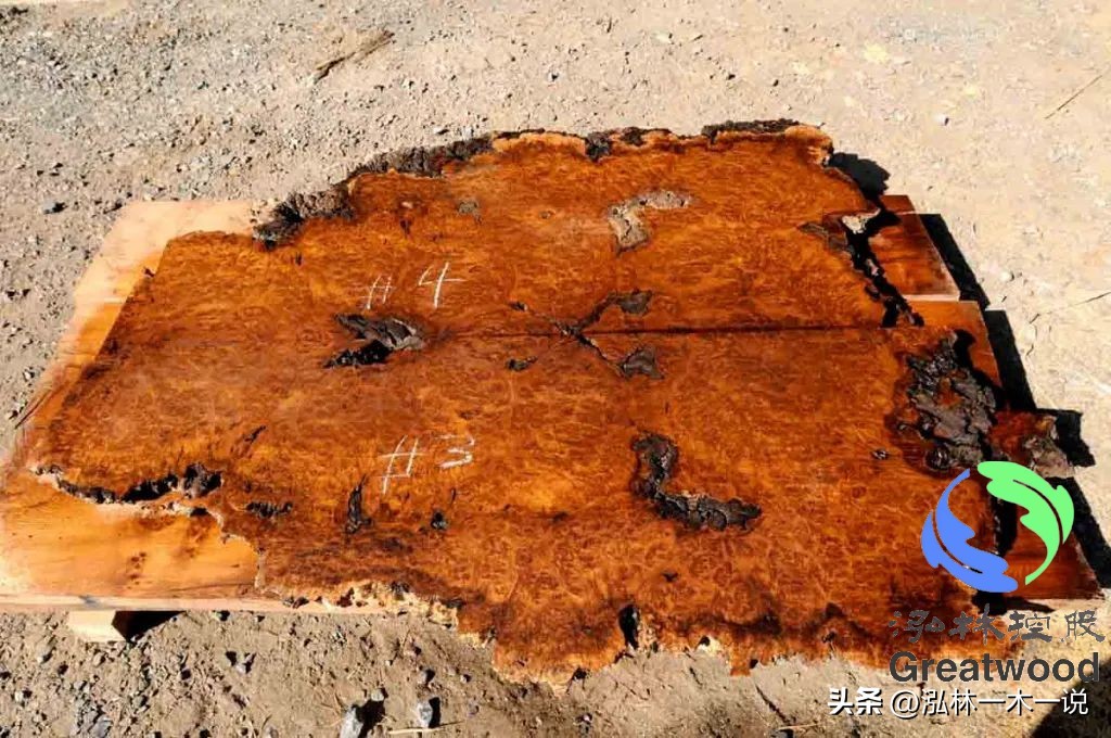 欧洲贵妇出轨被发现,欧洲白富美