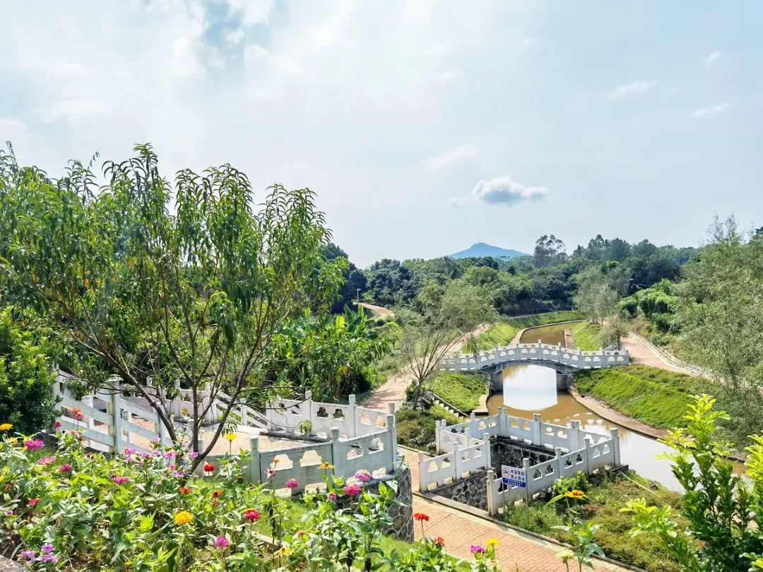 鑳介噺鍛ㄥ垔,鍏虫敞浜戞诞鏂伴椈