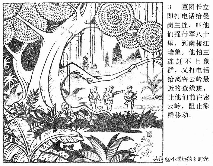 大象搬家,大象搬家河北