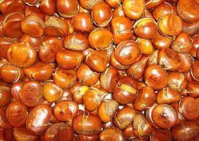 在大同市区做什么生意,我在大同做生意