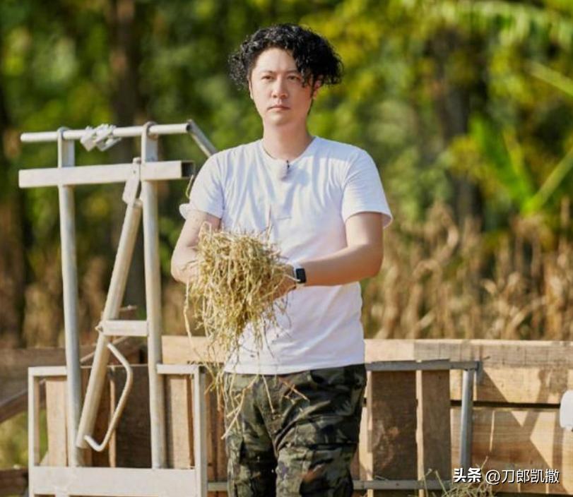 十三位“油腻”男星：有人“神油附体”，有人“肥而不腻”