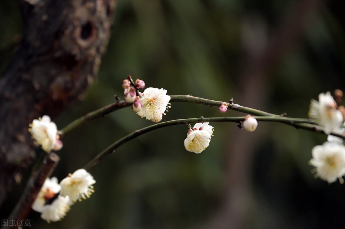 七句带花的诗词飞花令完整版,带花的诗句飞花令500首完整版