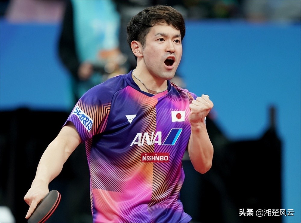 张本智和赢樊振东完全视频,张本智和险胜樊振东