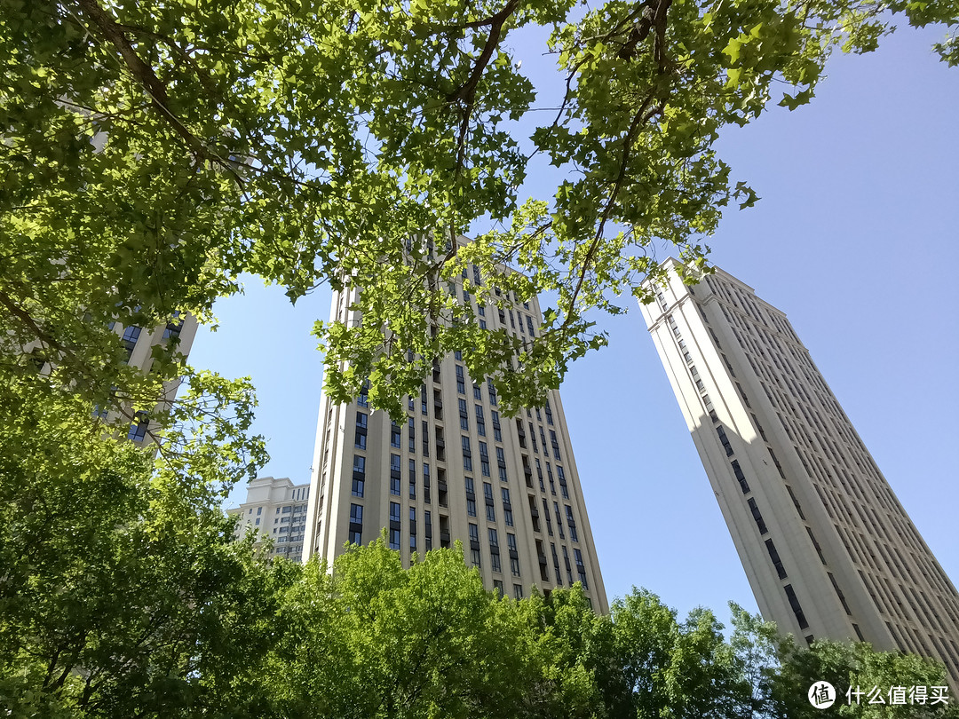 学习手机推荐三(自律系)——多亲Qin3Ultra