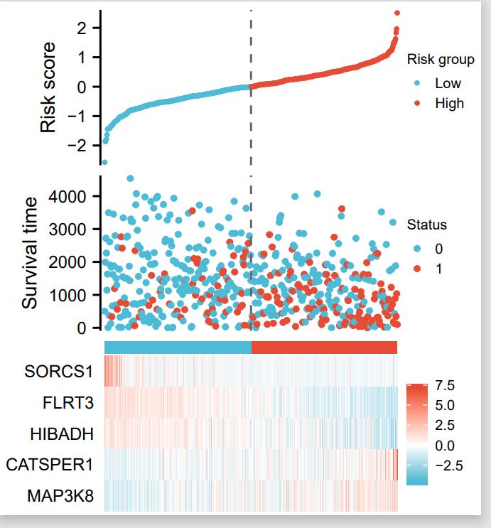 sci论文化繁为简,sci速成手把手教你写