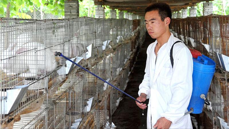 养殖场疾病,养殖兔子生病的状态和解决办法