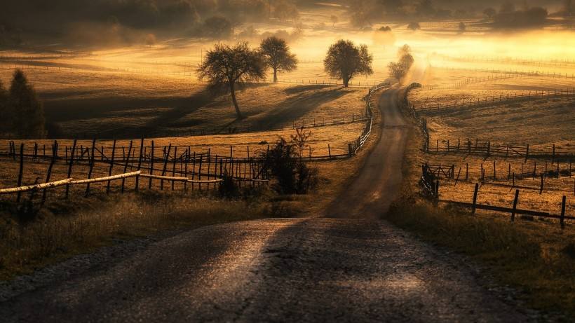 被鳗鱼咬一口是什么感觉,被鳗鱼咬了