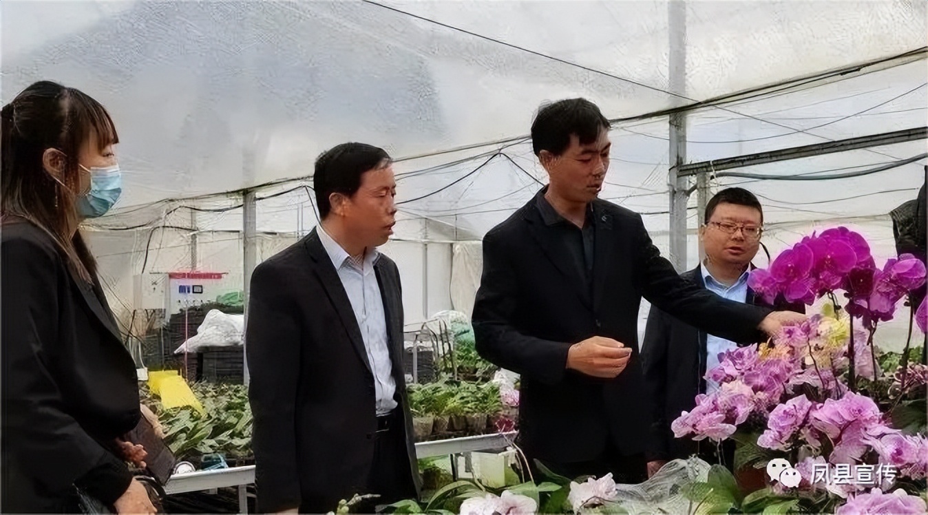 持续提升村级集体经济,扎实开展村级集体经济提升行动