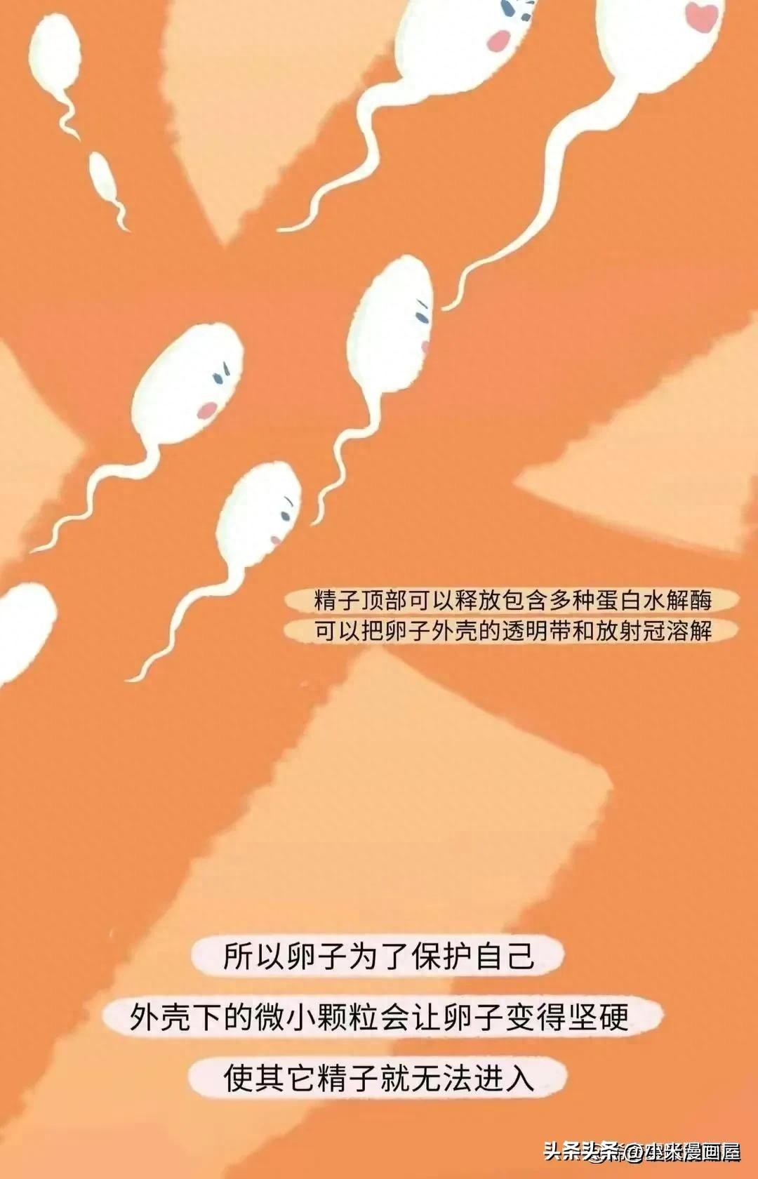 小蝌蚪找妈妈故事完整漫画,漫画中小蝌蚪是什么