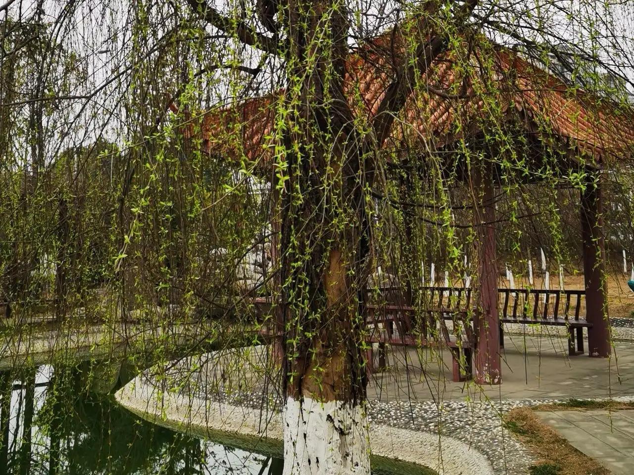 英语写作万能句型第八期,英语写作万能句大全