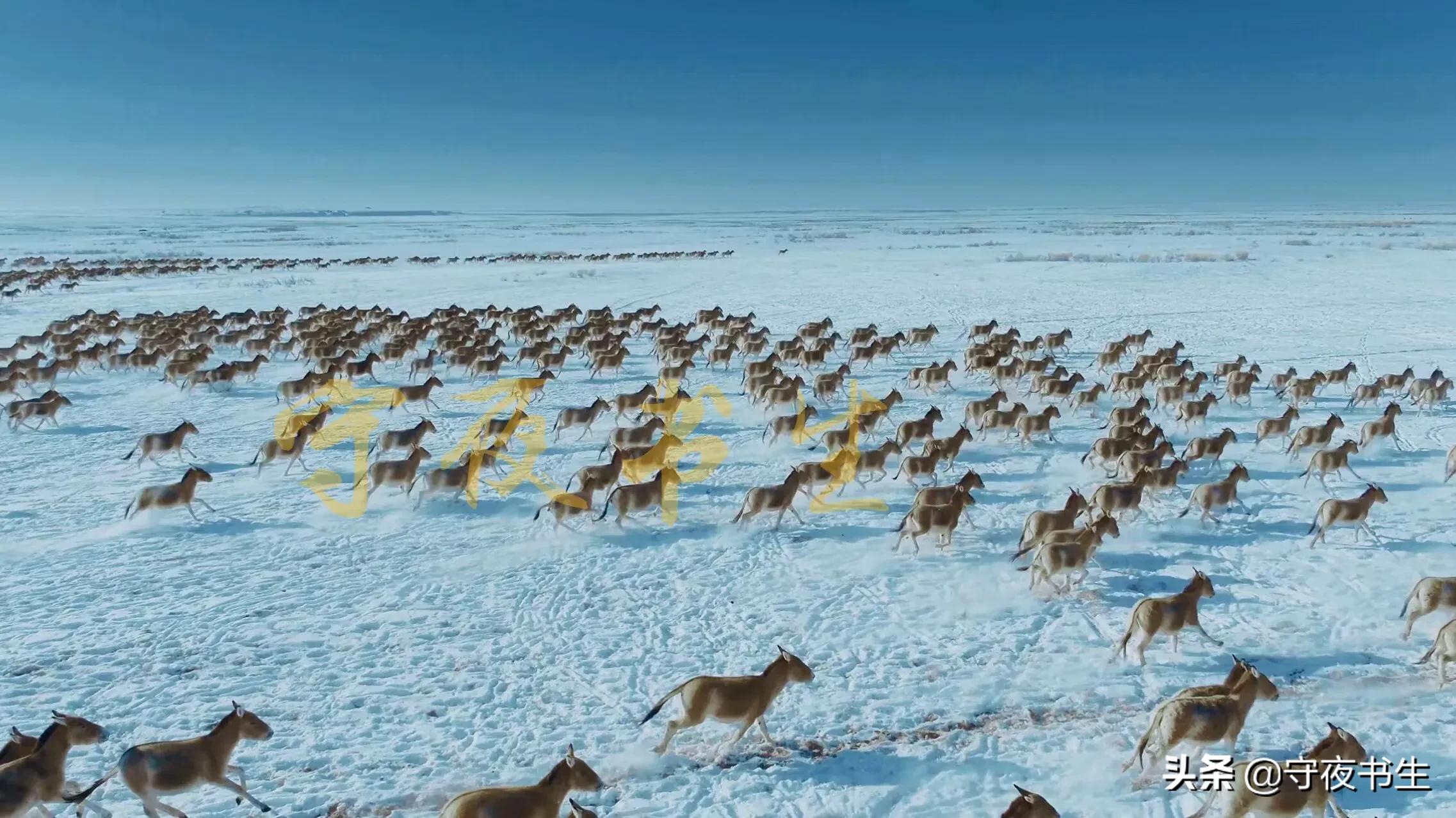 北京冬奥音乐名场面,北京冬奥19首入场曲