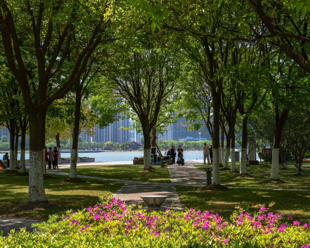 太仓周边好去处,太仓最佳去处