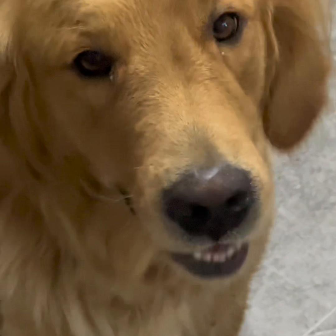 日常vlog学生党,日常vlog拍摄设备