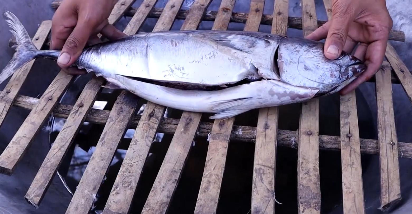 泰国蚂蚁大餐,泰国蚂蚁蛋的吃法