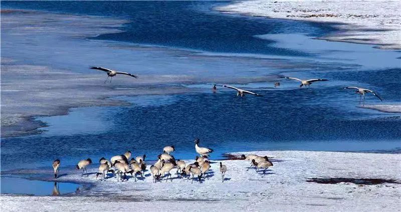 租车游玩套路,租车旅游有什么风险