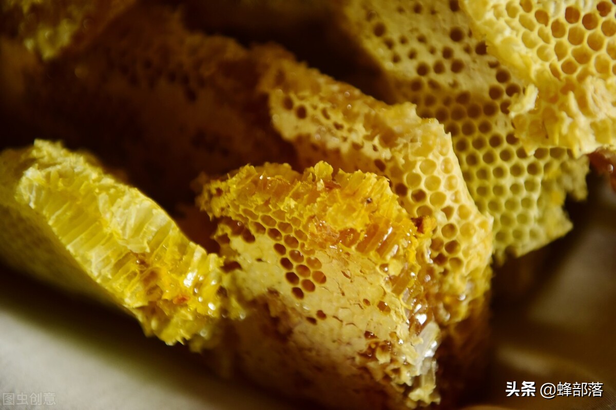 常见蜂蜜的挑选及区别,蜂蜜都有哪些种类是如何划分的呢