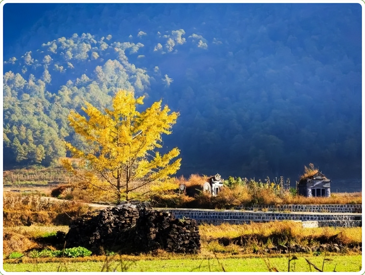 碳循万物•绿知未来|2023生物多样性创业夏令营，等你来探索！