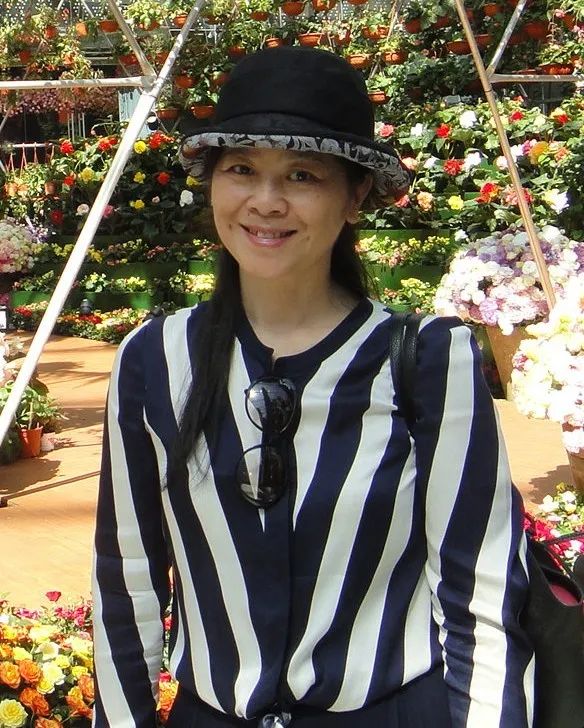 迟子建春天是一点一点融化的,迟子建在年迈时觅到了光阴的影子