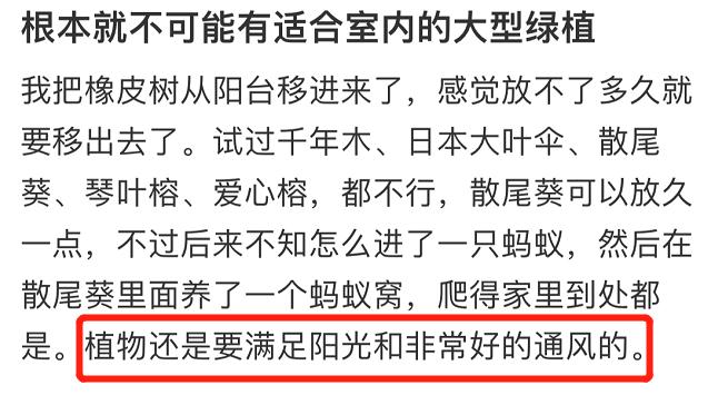 那些网红造假的后果 (造假的网红是真的吗)