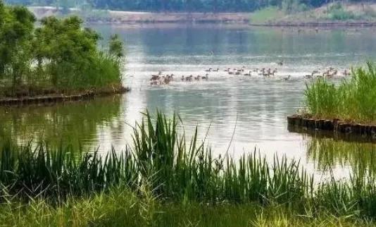 北京清明踏青旅游攻略,北京适合清明游玩的公园