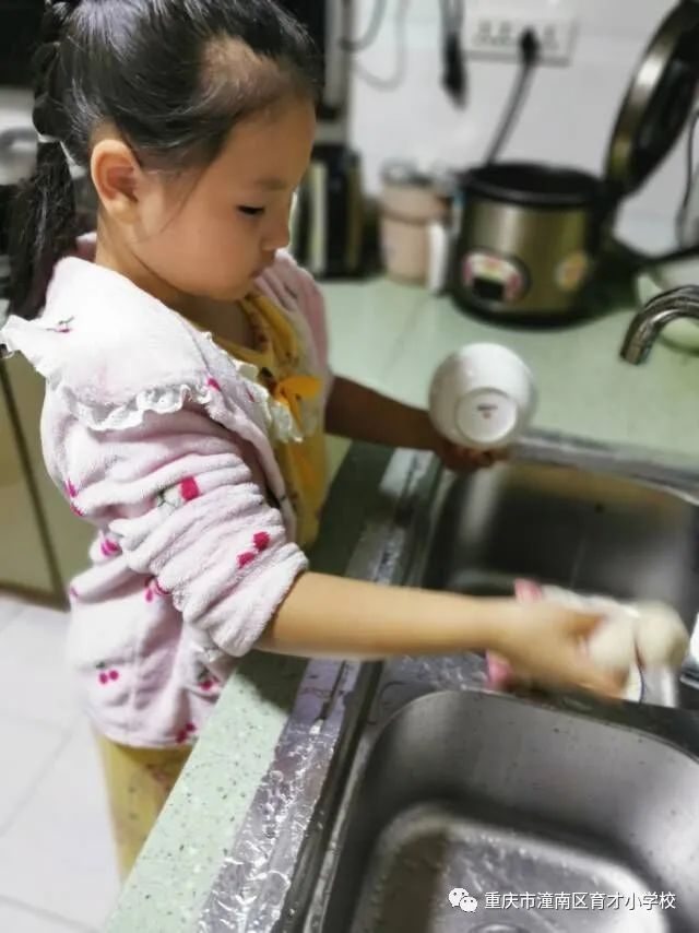 重庆劳动教育小学,重庆市潼南区育才小学的图片