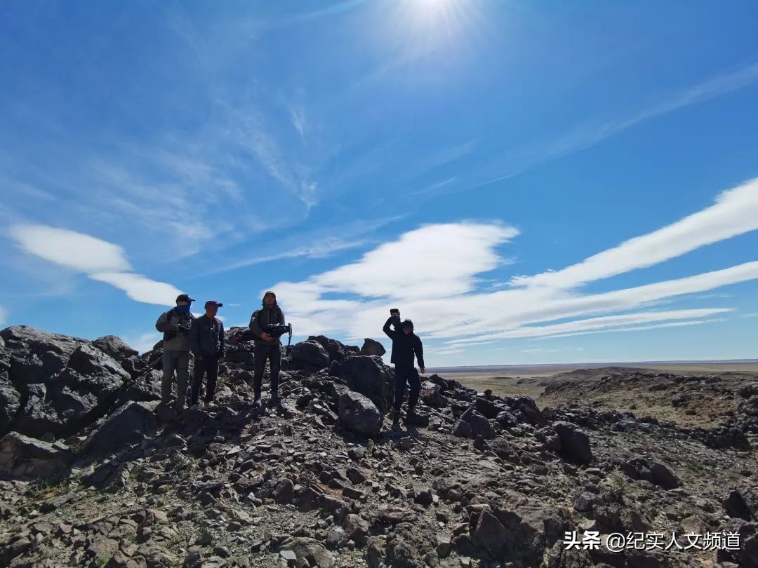 草原的野生动物在哪里,草原看野生动物