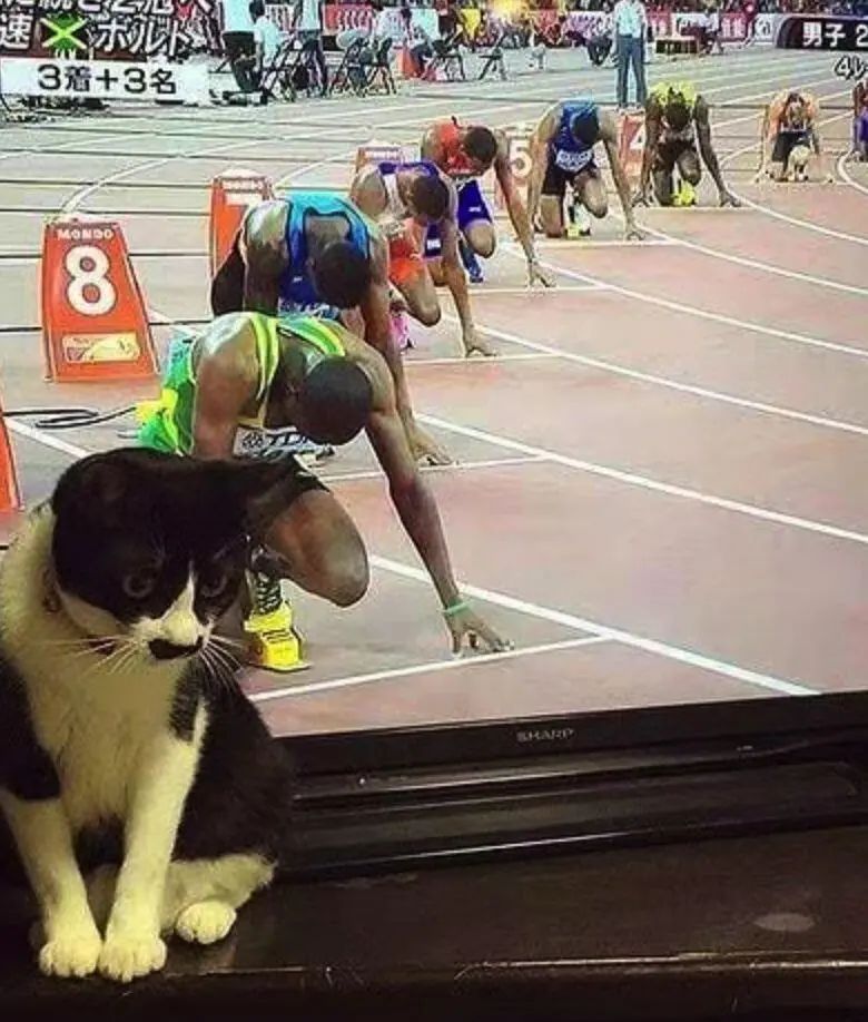 何老师抱狗撒尿，三石弟弟跳舞洗狗…这些破图我看一次笑一次哈哈