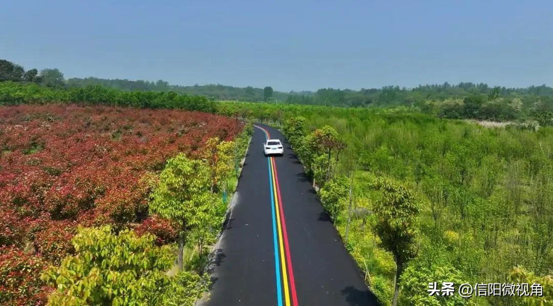 信阳市羊山新区最新规划图,信阳市羊山新区道路图