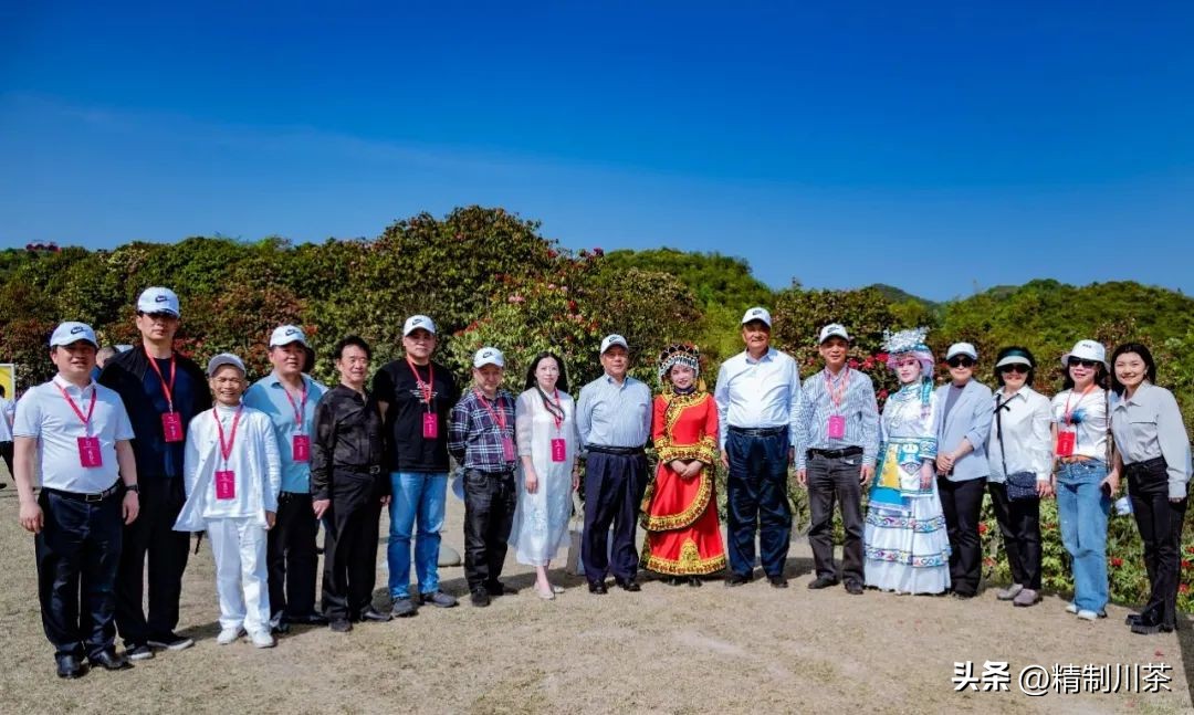 寻茶香赴春约---记四川省茶叶行业协会贵州毕节行