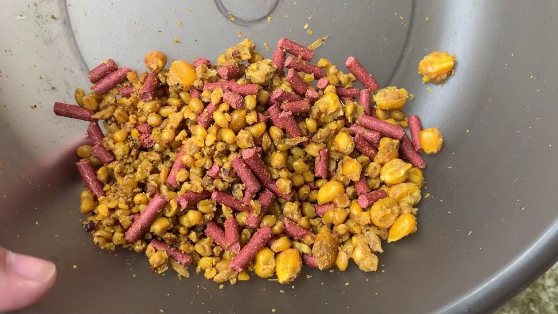 不是鱼难钓而是你太倔强,怎样做鱼窝料才能钓到鱼