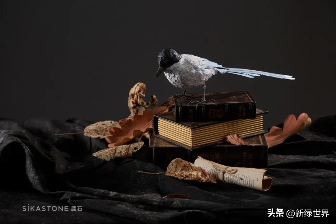 纸艺作品绘画,千变万化的纸艺术作品