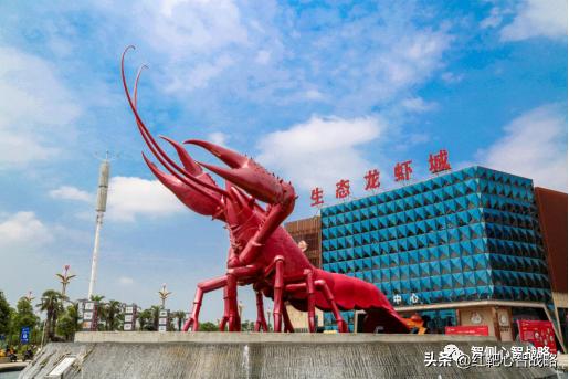 云南咖啡豆生产区位优势,云南咖啡豆概念